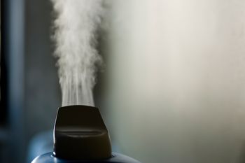 Humidifiers are a breeding ground for mold and bacteria if not clean correctly
