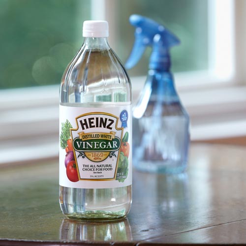 Window Cleaning Tip: Make your own cleaner! Mix equal parts distilled water with vinegar for an inexpensive DIY window cleaner.
