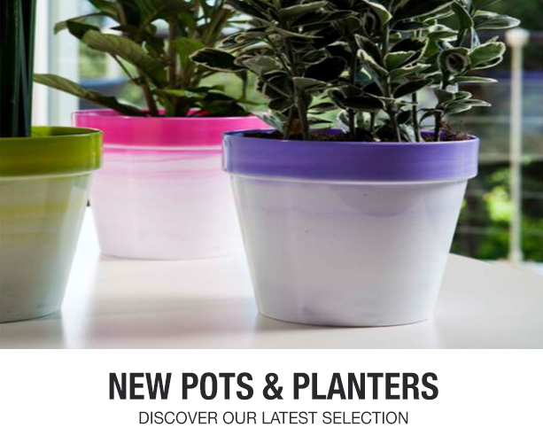 Save on variety of home and garden planters for your flowers and plants.